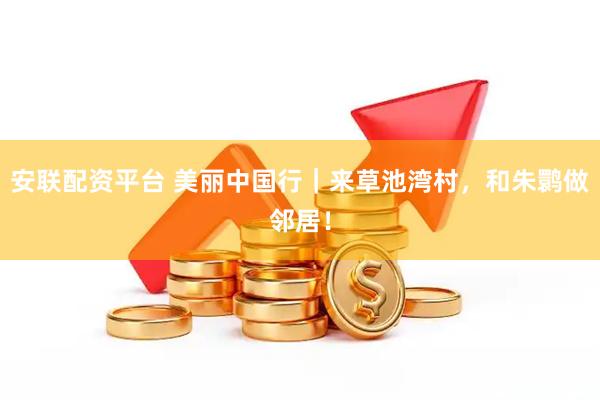 安联配资平台 美丽中国行｜来草池湾村，和朱鹮做邻居！